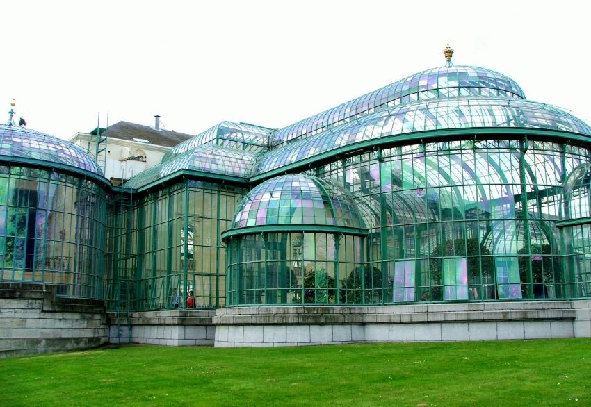 Секреты ухаживания за растительностью сада