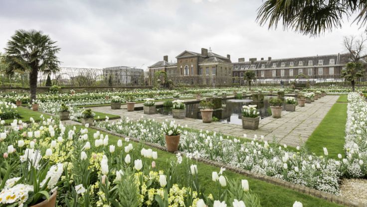 Королевский сад Кенсингтон в Лондоне 8 Ограничения и правила посещения Королевского сада