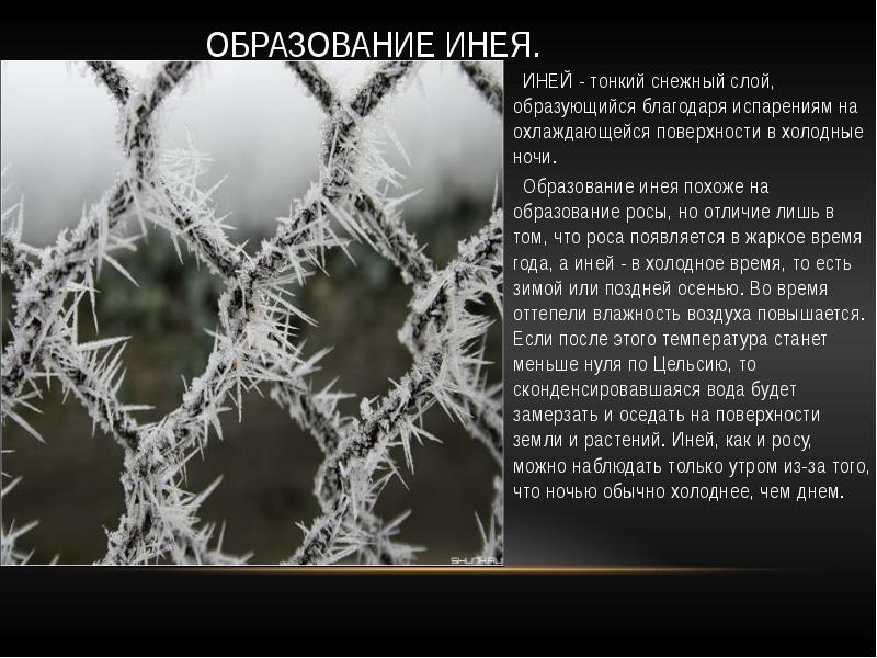Погода при иней и изморози как образуются кристаллы Погода при иней и изморози как образуются кристаллы