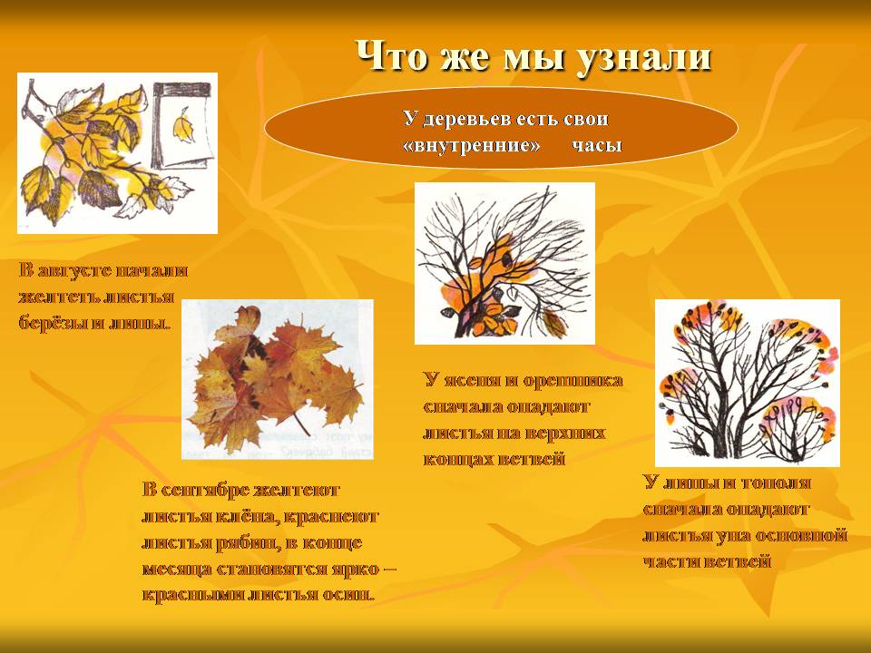 Ультразвуковые изменения температуры