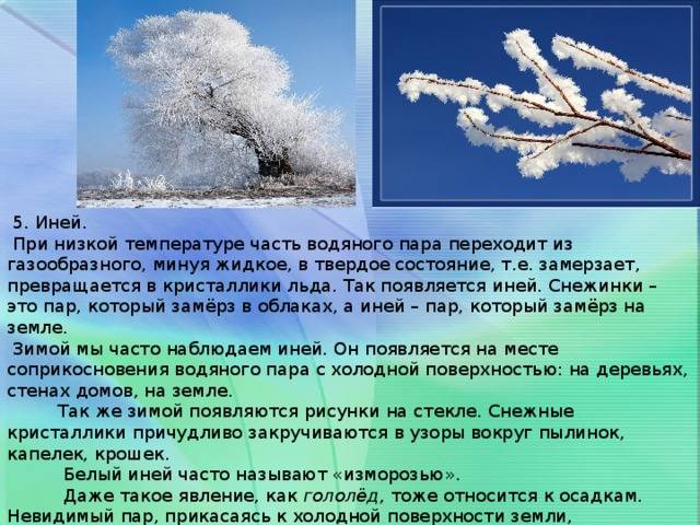 Погода при инее и изморози как образуются кристаллы 6 Влияние инея на экосистему и сельское хозяйство