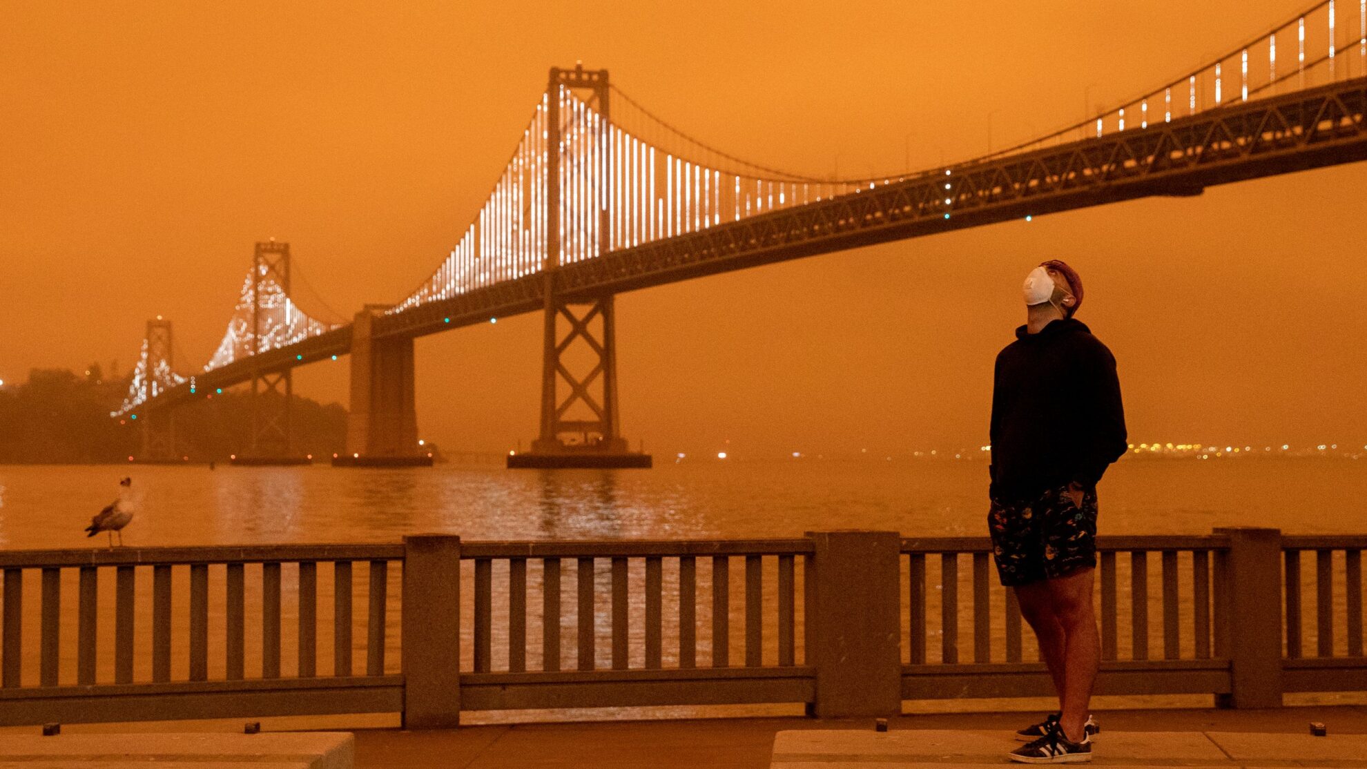 Основные этапы