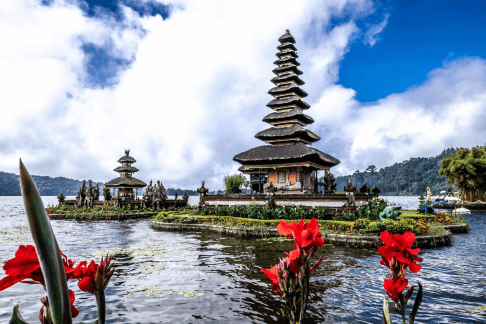 Спокойствие сада Сингараджа в Бали (Индонезия) 3 Аренда скутера