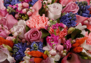 Какие цветы подарить на разные случаи - советы по выбору букета