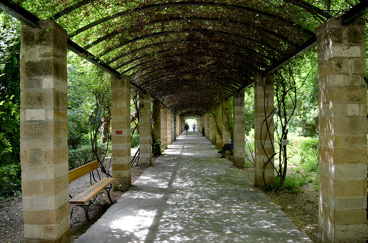 Секретные уголки для уединения в Национальном саду