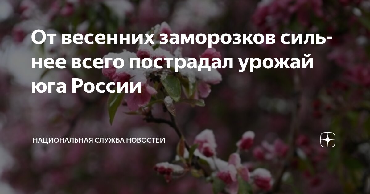 Погода при заморозках весной как защитить урожай 3 Как правильно поливать растения перед заморозками