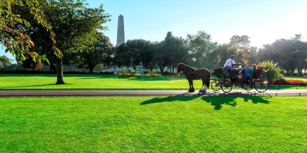 Парк Феникс в Дублине — самый большой в Европе 7 Экологические инициативы: как парк способствует охране окружающей среды