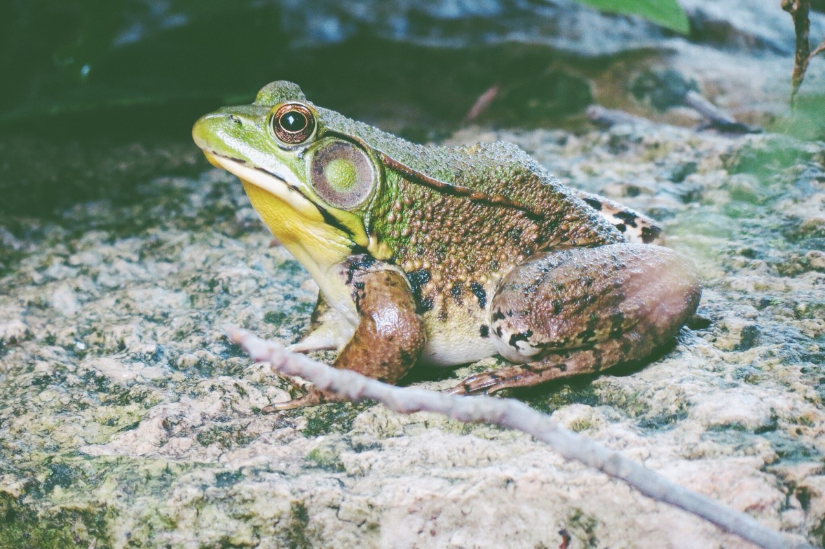 Настройки камеры