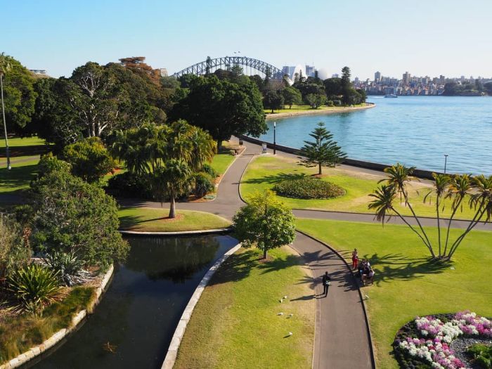 Ботанический сад в Сиднее — оазис у Оперного театра (Австралия) 6 Темы для прогулок: маршруты по саду