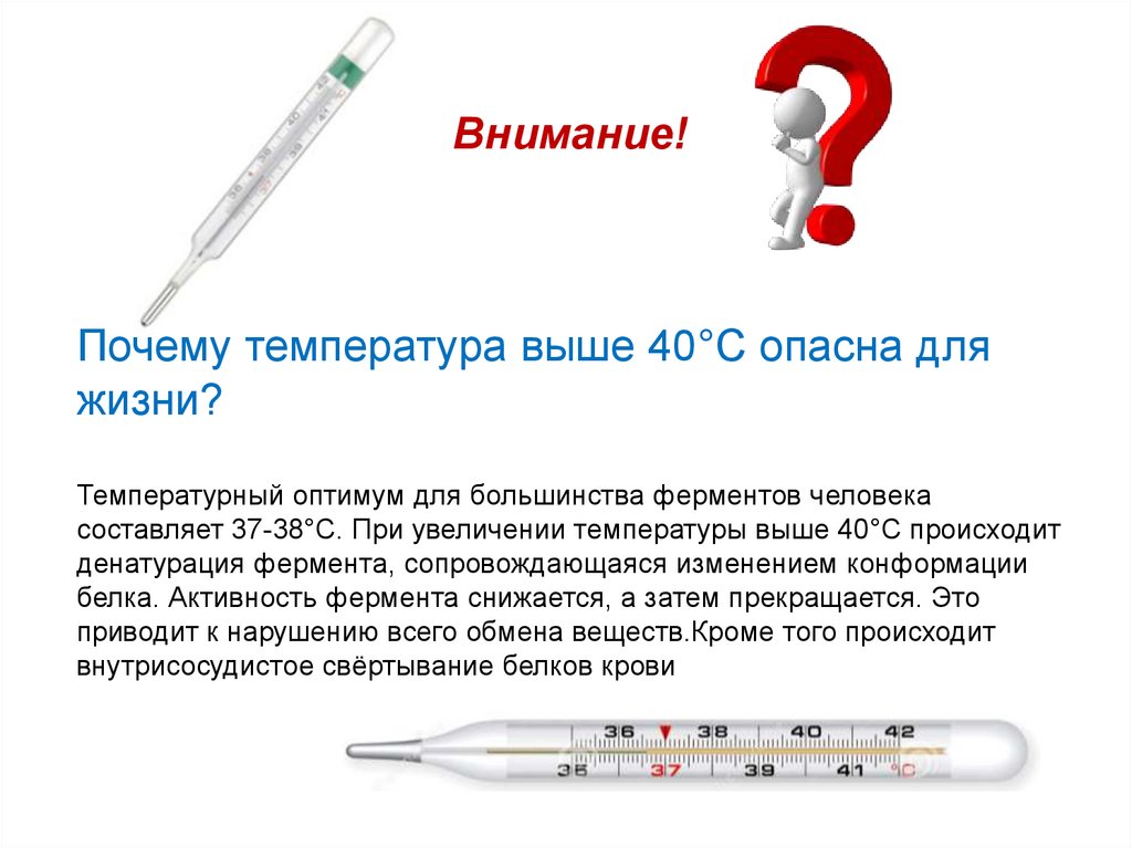 Безопасные способы передвижения по холодному снегу
