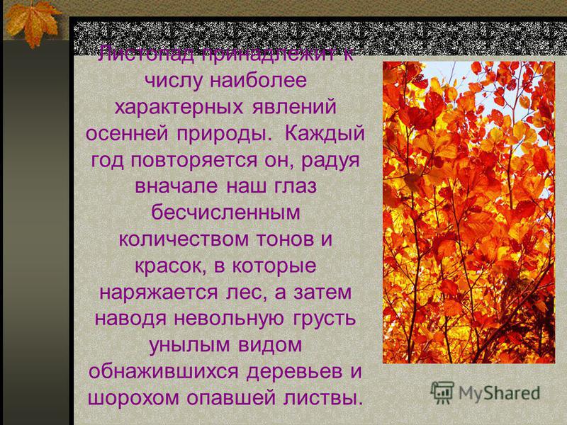 Скорость ветра и его влияние на листвы