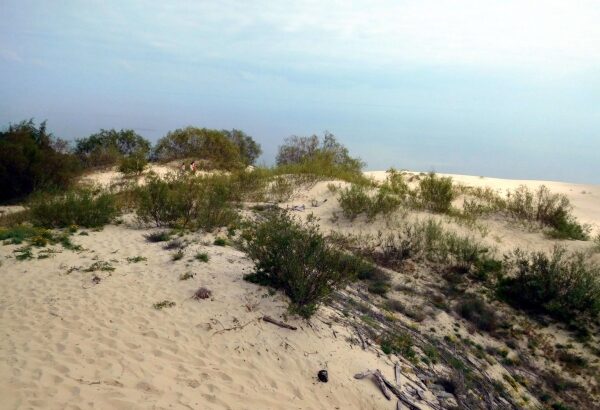 Экскурсия на Куршскую косу