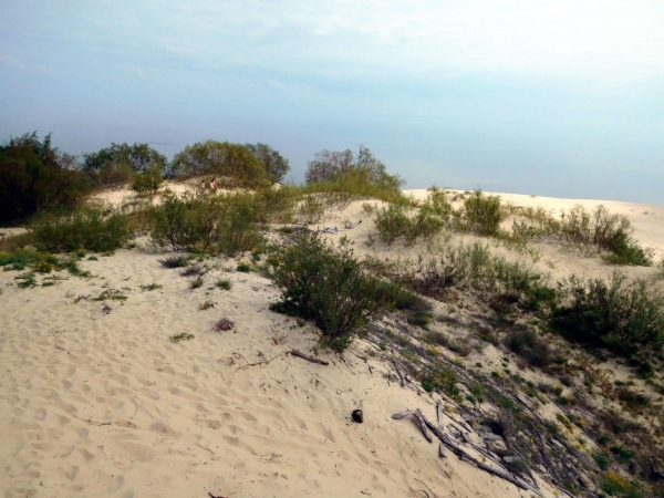 Экскурсия на Куршскую косу и как съездить самостоятельно Экскурсия на Куршскую косу и как съездить самостоятельно