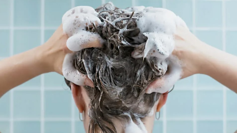 Профессиональные шампуни - как выбрать и чем отличаются от обычных средств Профессиональные шампуни - как выбрать и чем отличаются от обычных средств