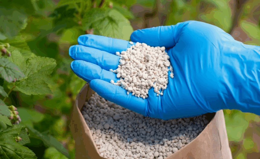 Внекорневые удобрения - эффективность и применение